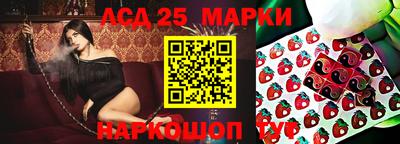 индика Можга