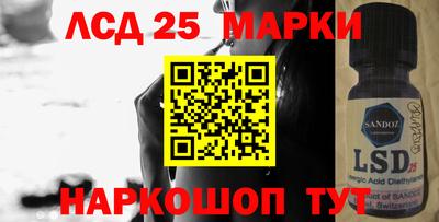 индика Можга