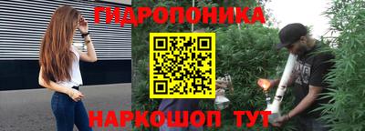 индика Можга