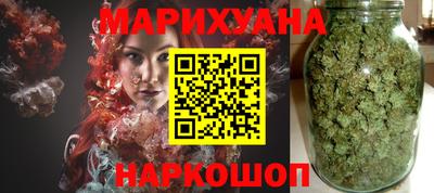индика Можга