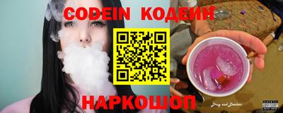 индика Можга