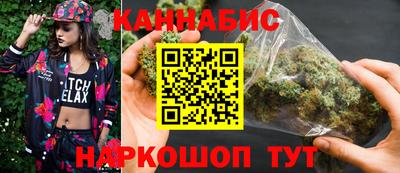 индика Можга