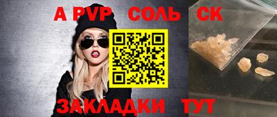 индика Можга