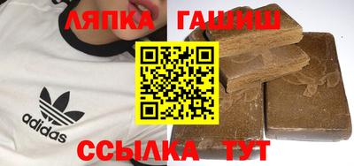 индика Можга