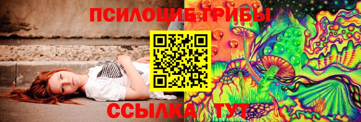 Псилоцибиновые грибы прущие грибы  Вход с VPN  где купить наркоту  Печора 